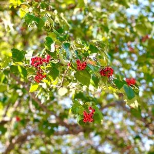 Meet your Posher, Cathy